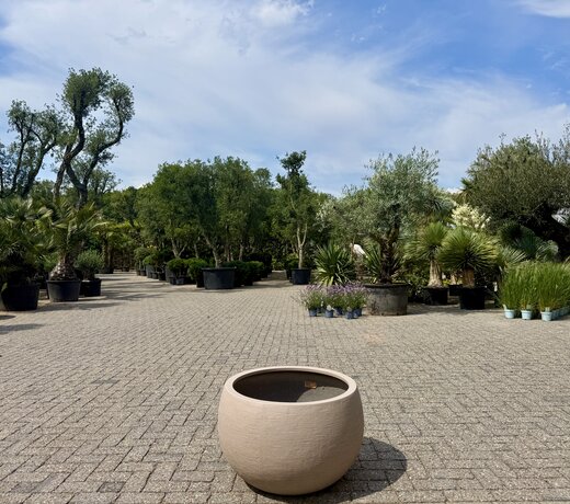 Plantenbak Terreno Medium Balloon Sand (Luca Lifestyle)