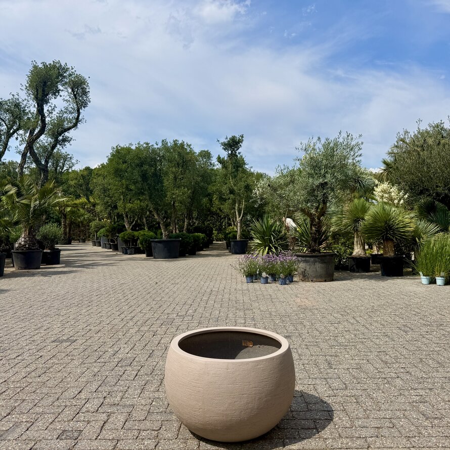 Plantenbak Terreno Medium Balloon Sand (Luca Lifestyle) 