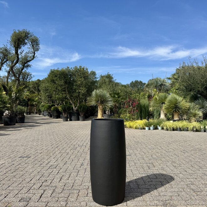 Grigio Modern Vase Anthracite (Luca Lifestyle) - 70 cm