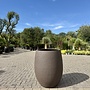 Terreno Tall Balloon Sand (Luca Lifestyle) - 74 cm