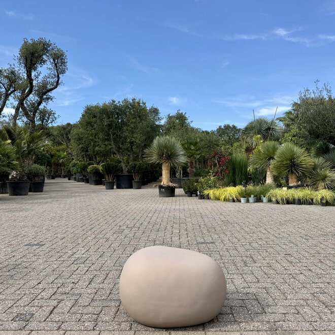Decoratie steen Sand