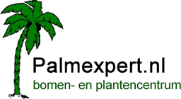 Palmexpert.nl | Palmbomen, Olijfbomen & Mediterrane bomen en planten