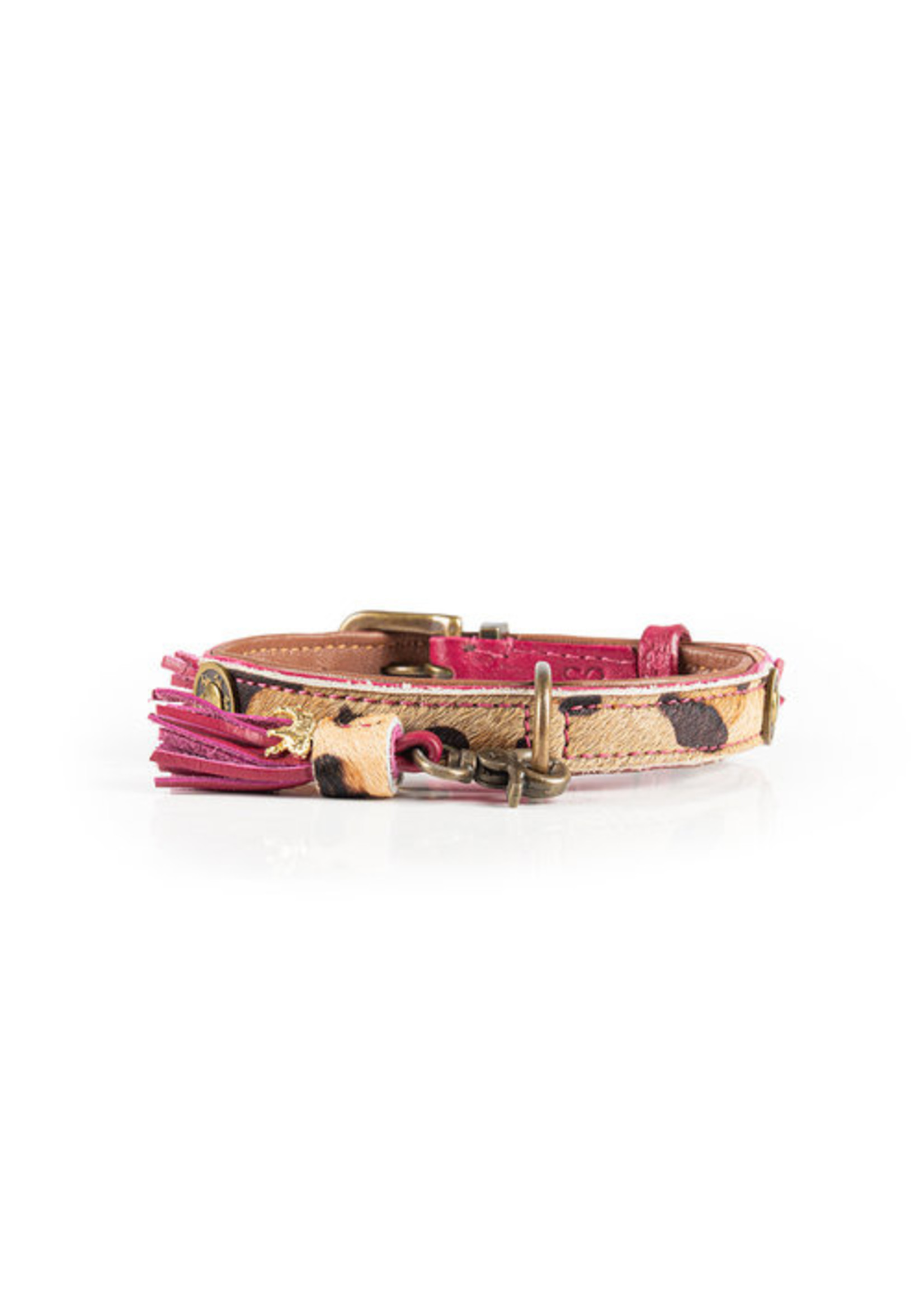 Dog With A Mission Dwam lou lou collar