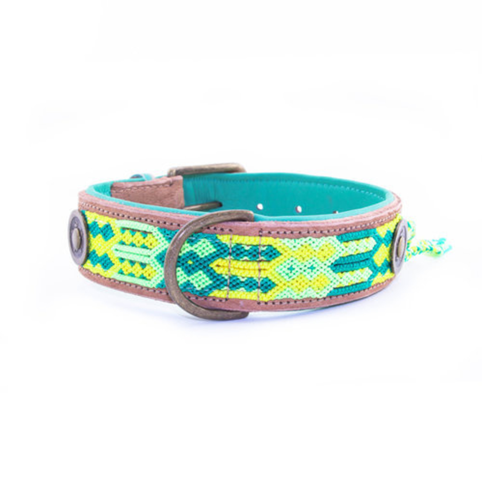 Dog With A Mission Dwam cactus halsband