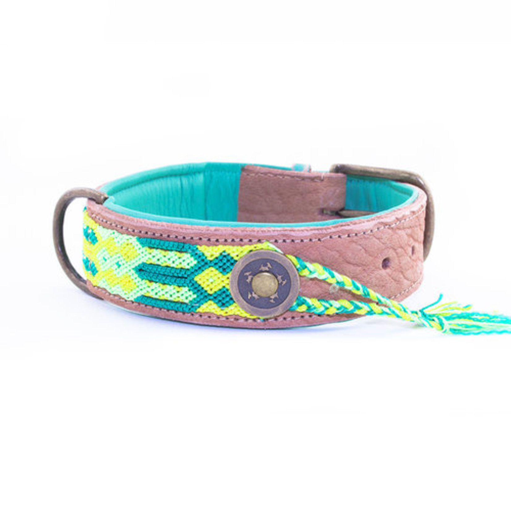 Dog With A Mission Dwam cactus collar