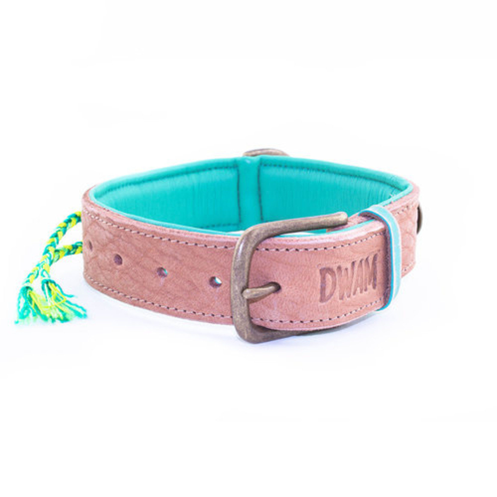 Dog With A Mission Dwam cactus collar