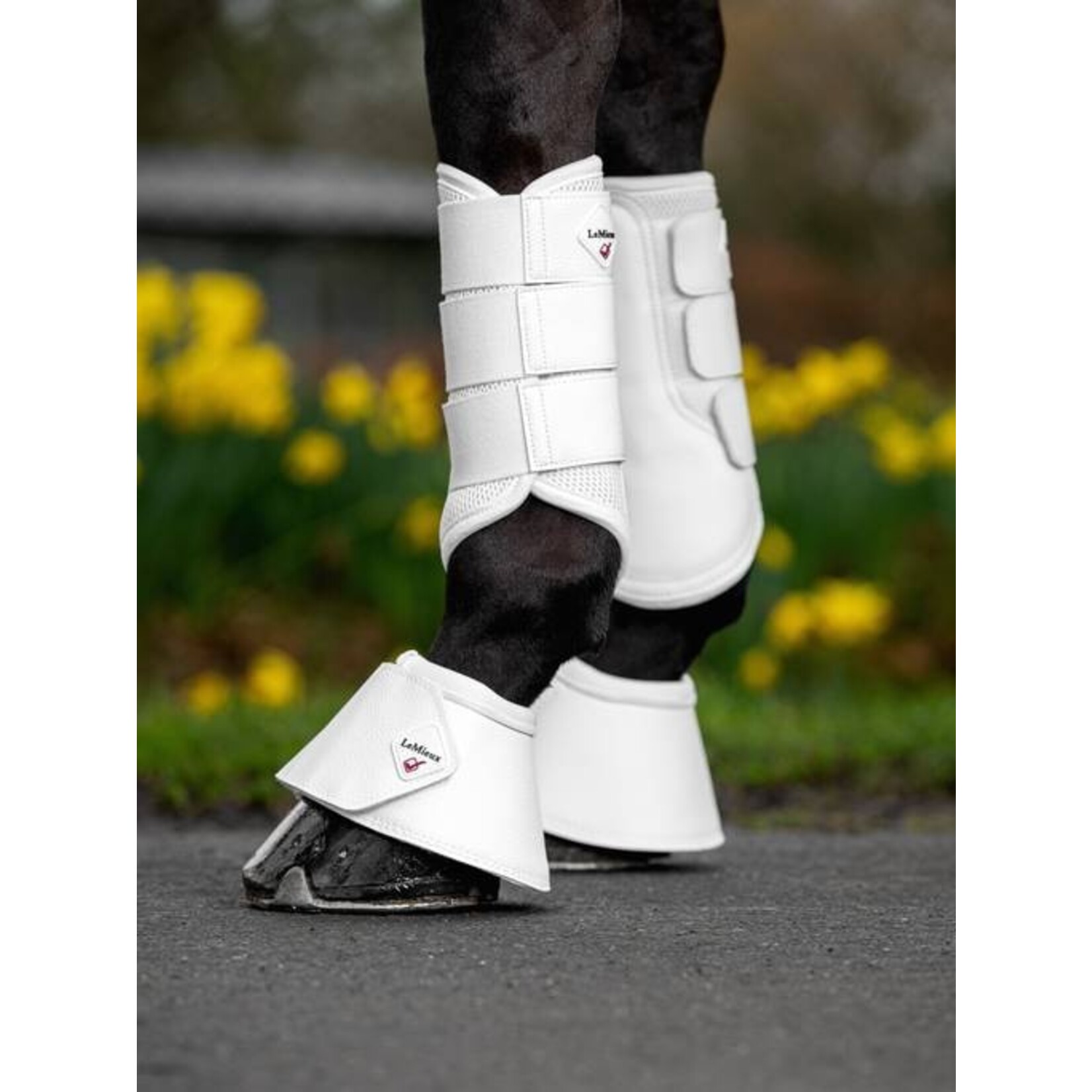 LeMieux LeMieux wrapround leather overreach boots white