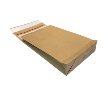 Specipack Specipack Sac d'expédition en kraft - E-commerce vert - 162 x 229 x 40 mm - 120 g/m2 - Double bande adhésive - Boîte de 250 enveloppes