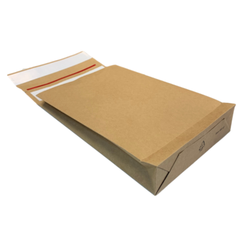Specipack Specipack Sac d'expédition en kraft - E-commerce vert - 162 x 229 x 40 mm - 120 g/m2 - Double bande adhésive - Boîte de 250 enveloppes