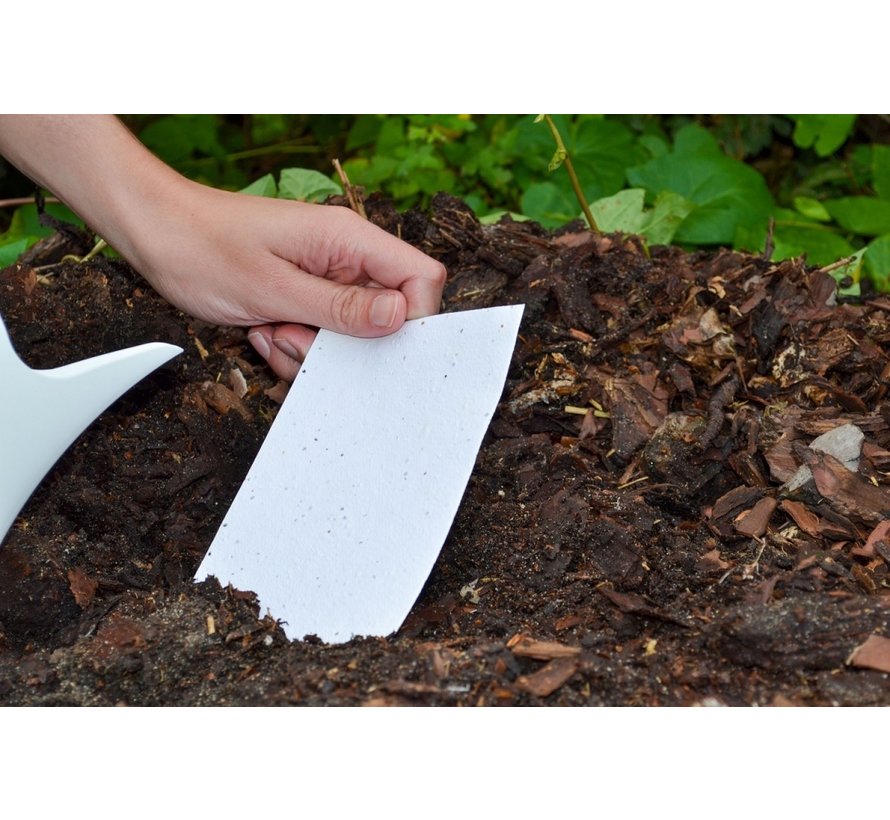 Papier de croissance pour l'impression 100 pièces A4 200 g/m² mélange de fleurs