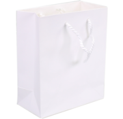 Specipack 22 x 10 x 29 cm - Sac en papier de luxe - Cordon torsadé - 100 pièces