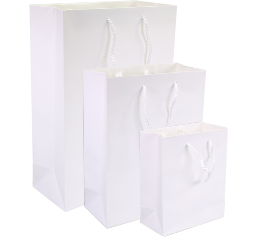 Luxueuze papier tas - gedraaid koord - 22 x 10 x 29 cm - wit - 100 stuks