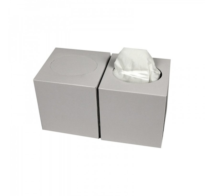 Tissue box gezicht - 100% cellulose - 21 x 20 cm - 2 laags - 30 x 90 vel in doos
