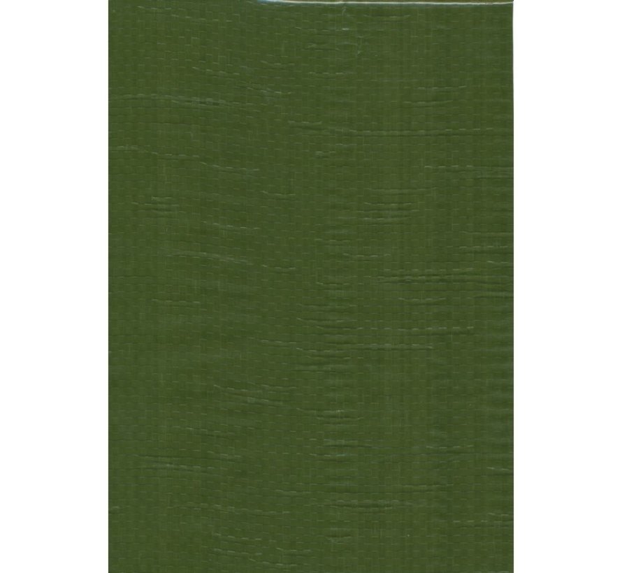Bâche - 8x10m - vert - PE-110