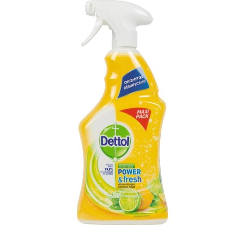 Dettol - nettoyant tout usage - citron - bouteille de 750 ml