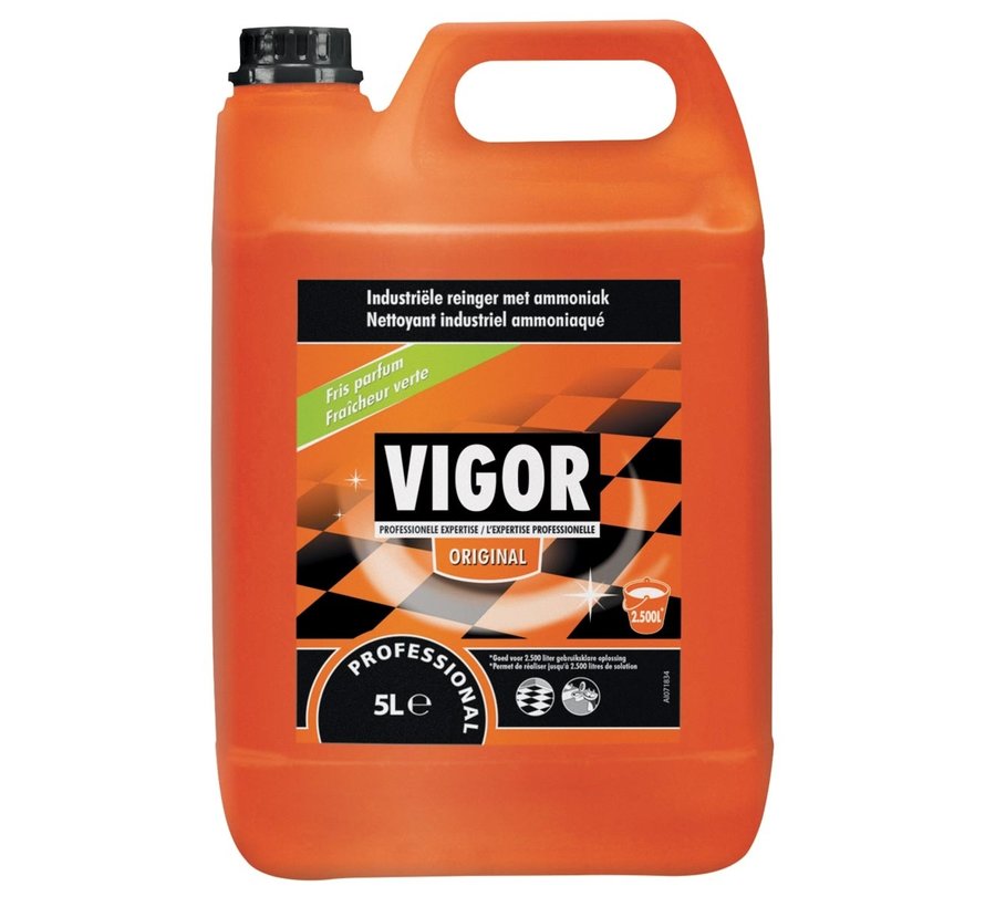 Vigor - nettoyant tout usage - original - bouteille de 5 litres