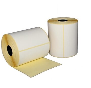 Specipack 10 rollen geschikt voor DPD - 102 mm x 150 mm - 300 Labels per rol - Kern 25 mm