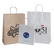 Specipack Sacs en papier imprimé - 45 x 16 x 48 cm - 100 pièces