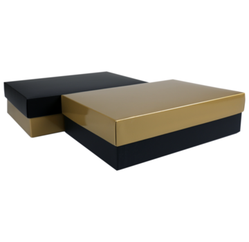 Specipack Geschenkdoos - karton -30x21x8cm - zwart/goud - 10 stuks