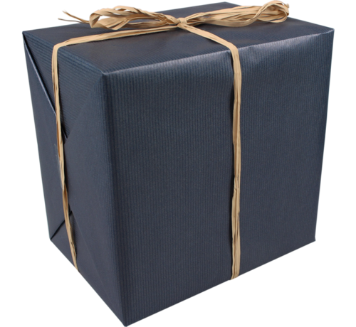 Specipack Papier cadeau - 30cmx250m - bleu