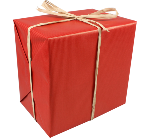 Specipack Papier cadeau - 50cmx250m - rouge