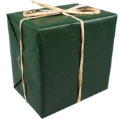 Specipack Papier cadeau - 30cmx250m - vert