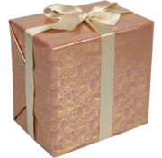 Specipack Papier cadeau - 30cmx200m - Feuilles - rose/doré