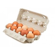 Specipack Boîtes à œufs pour 10 œufs - 65 pièces