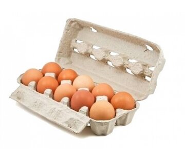 Specipack Boîtes à œufs pour 10 œufs - 188 pièces