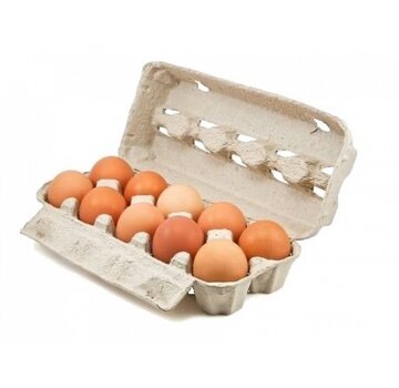 Specipack Eierdozen voor 10 eieren - 65 stuks