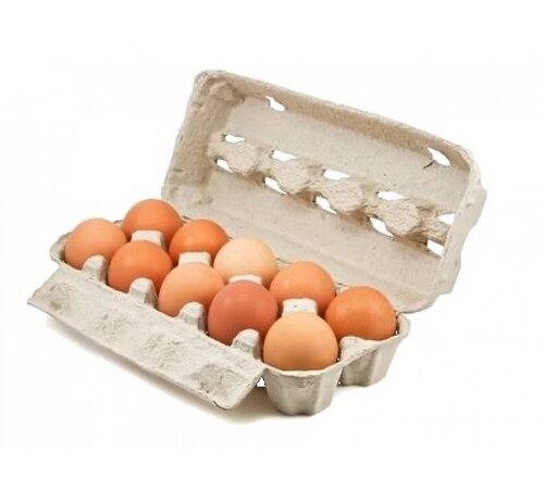 Specipack Boîtes à œufs pour 10 œufs - 188 pièces