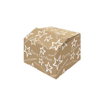 Specipack Boîtes cadeaux de Noël - blanc et brun - 310 x 200 x 140 mm - paquet avec 15 boîtes