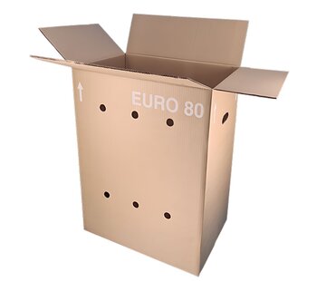 Boîte Euro entière 80 - 60 x 40 x 80 cm - Double vague - Avec poignées - Avec trous