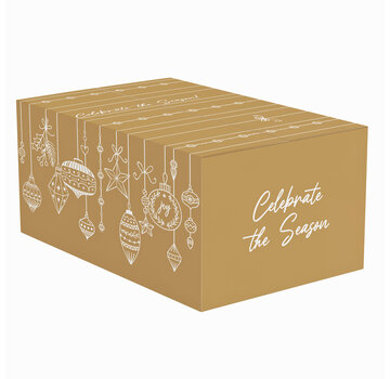 Specipack Boîtes cadeaux de Noël - blanc et marron - 490 x 390 x 270 mm - paquet avec 15 boîtes