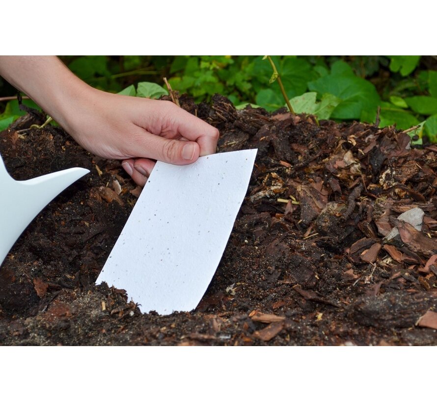 Papier de croissance pour l'impression 100 pièces A4 200 g/m² mélange de fleurs