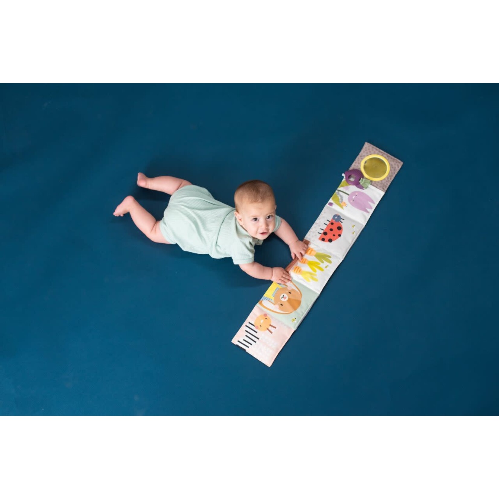 Taf Toys Taf Toys - urban garden pram book