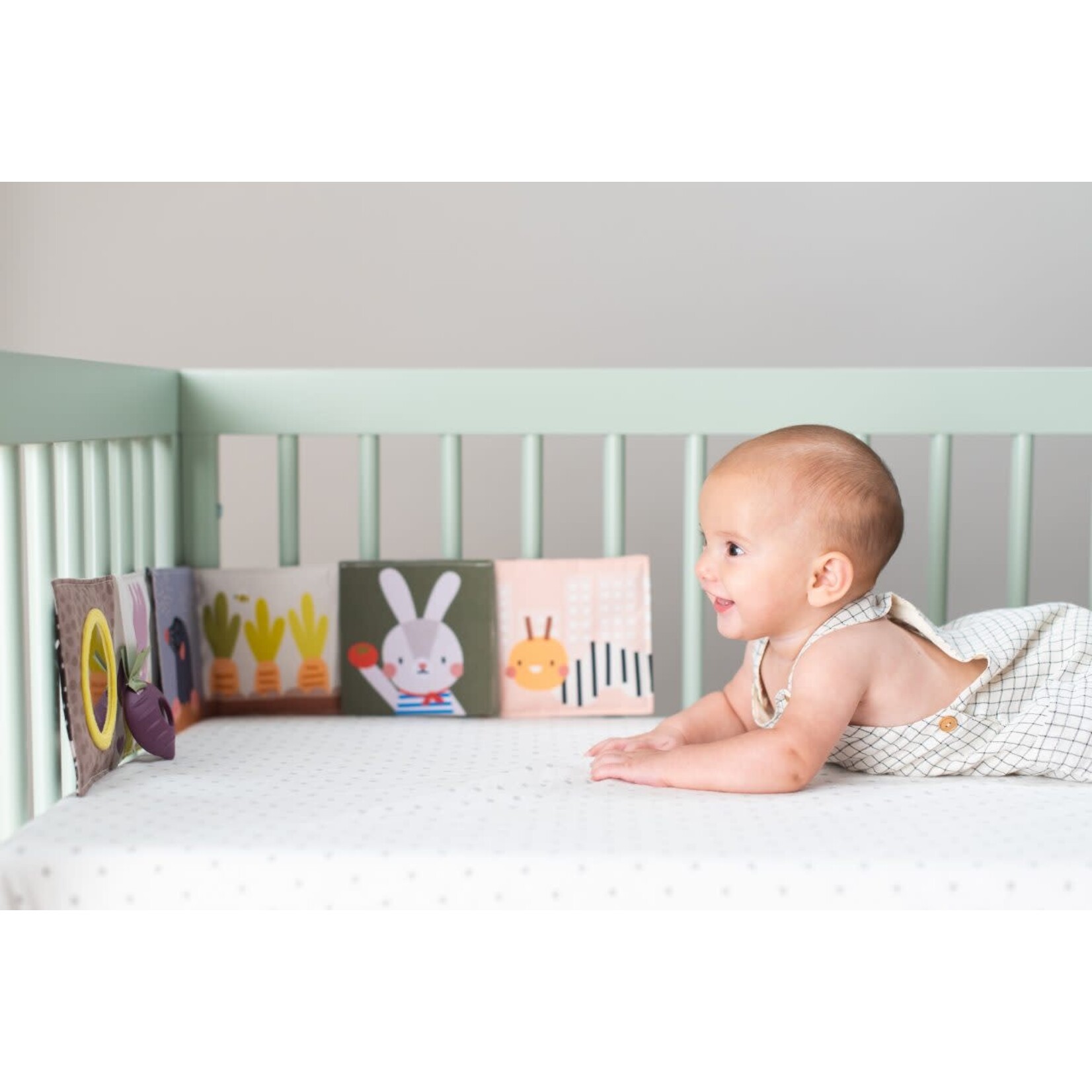 Taf Toys Taf Toys - urban garden pram book