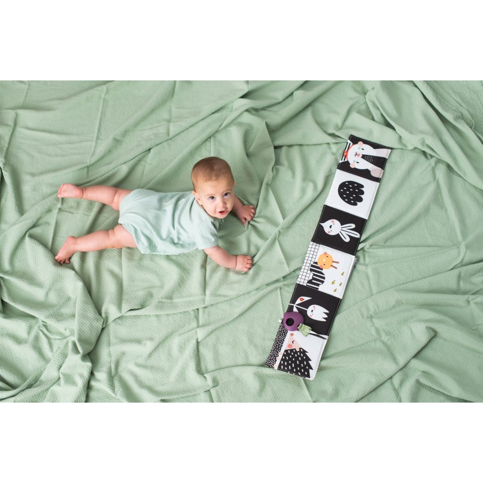 Taf Toys Taf Toys - urban garden pram book