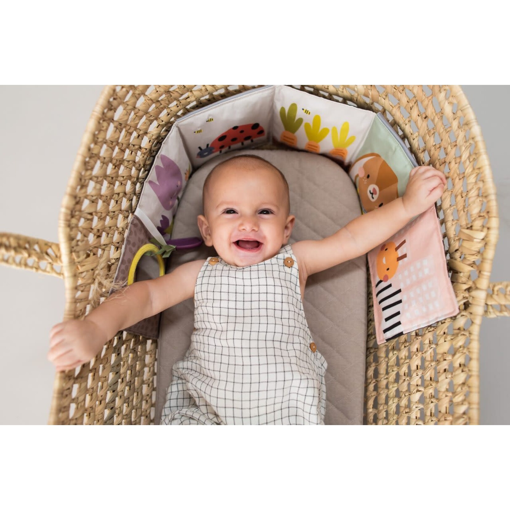 Taf Toys Taf Toys - urban garden pram book