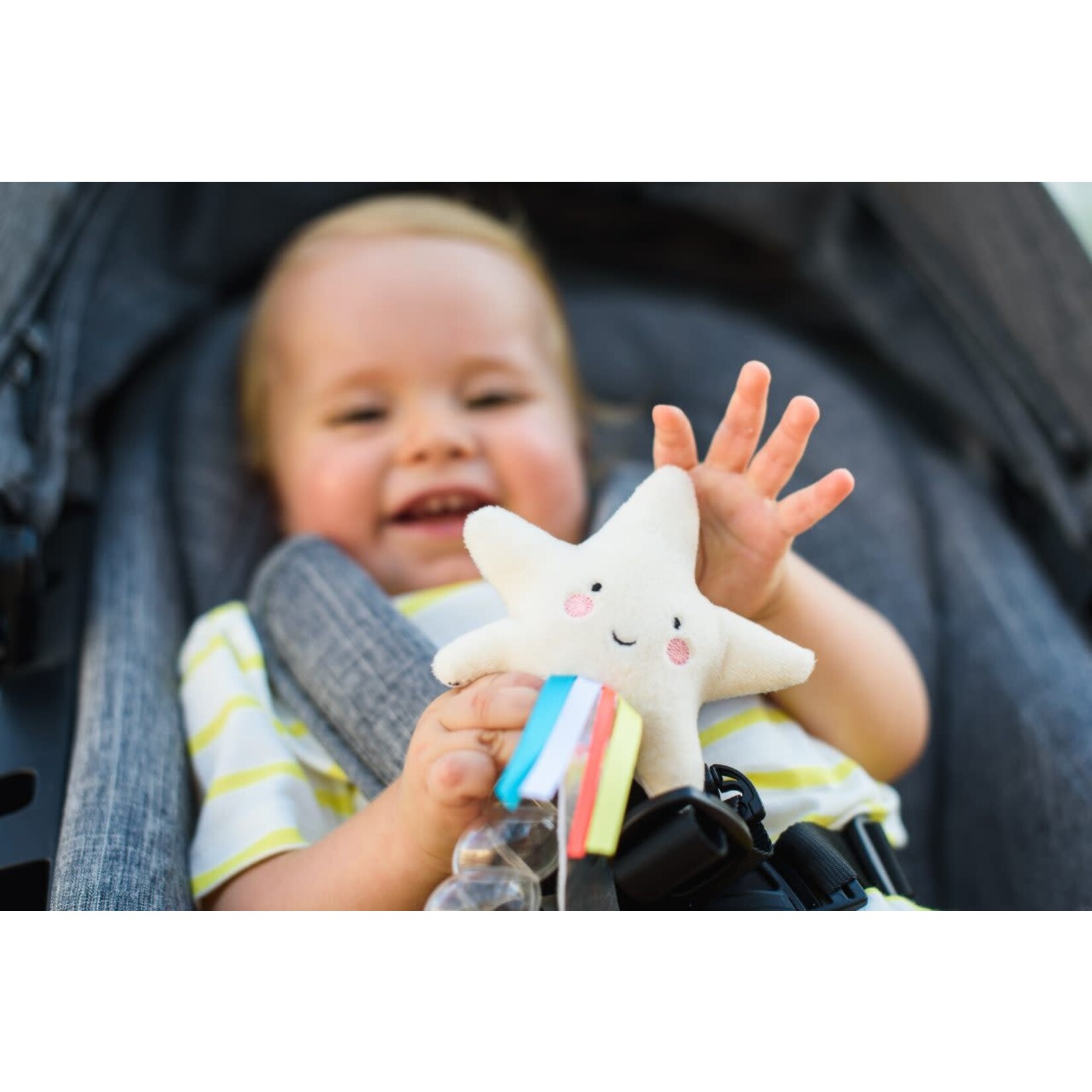 Taf Toys Taf Toys - star rainstick rattle