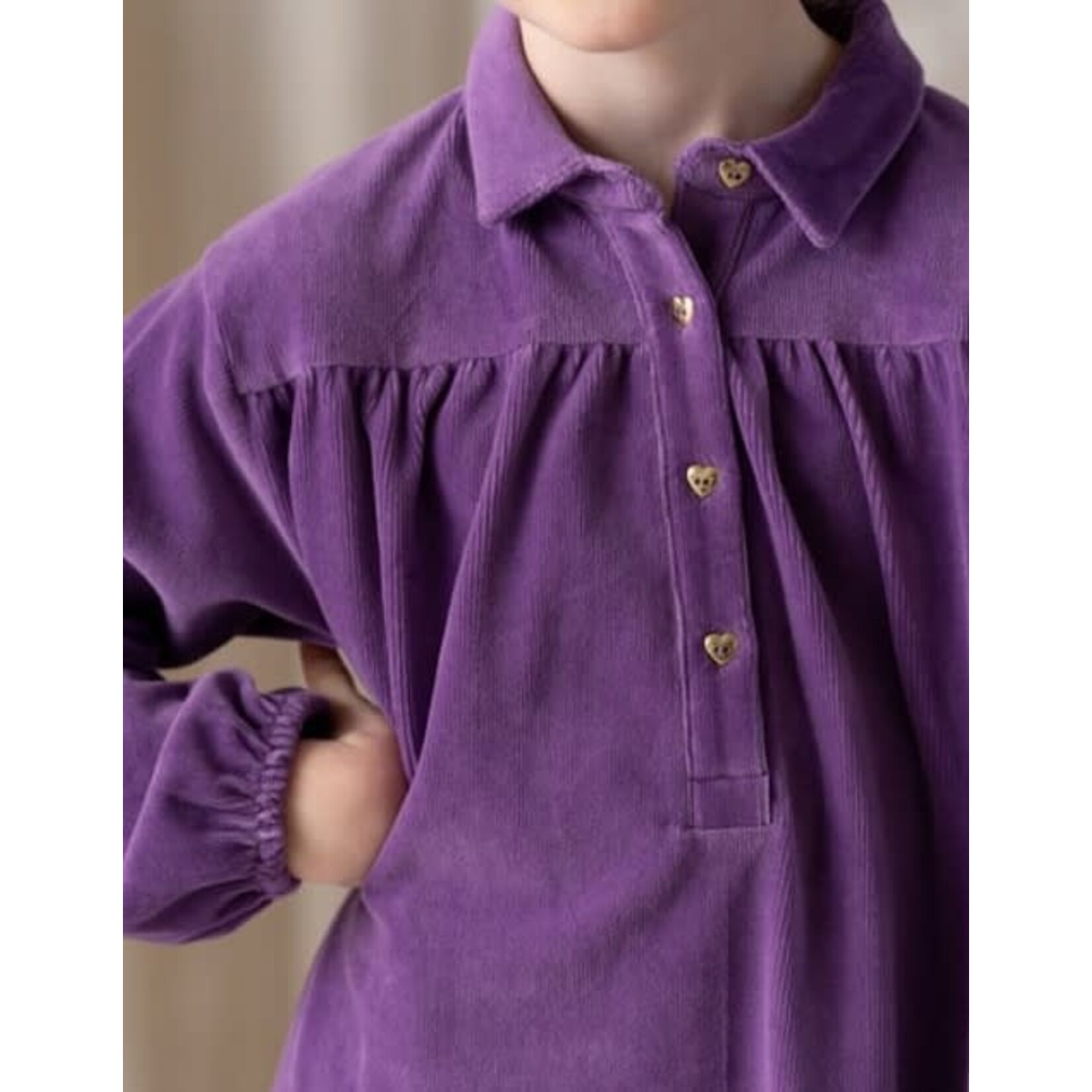 House of Jamie House of Jamie - Shirt Collar Dress: Magic Purple