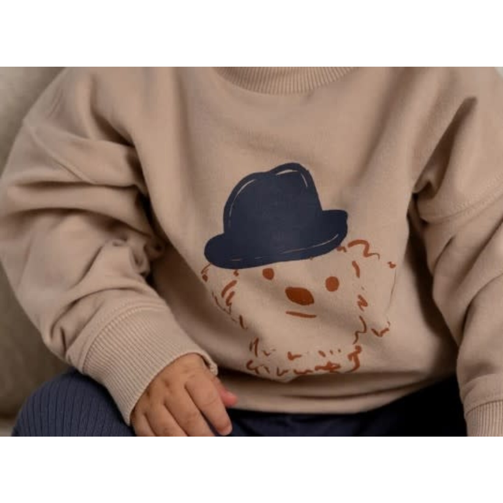 House of Jamie House of Jamie - Baby Boys Sweater: French Grey