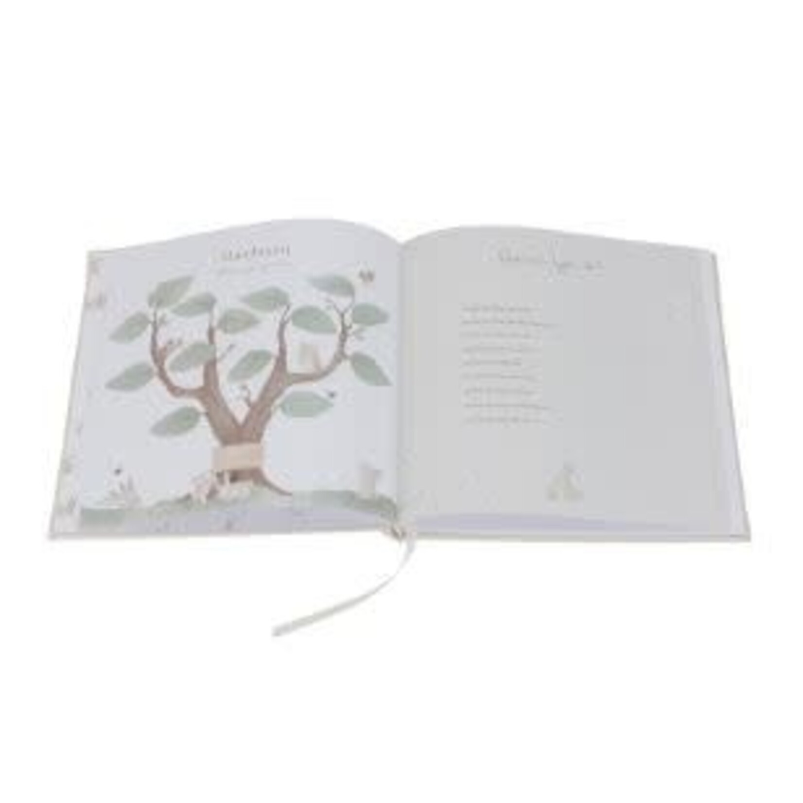 Little Dutch Little Dutch - Baby boek "Mijn eerste jaar" - Baby Bunny
