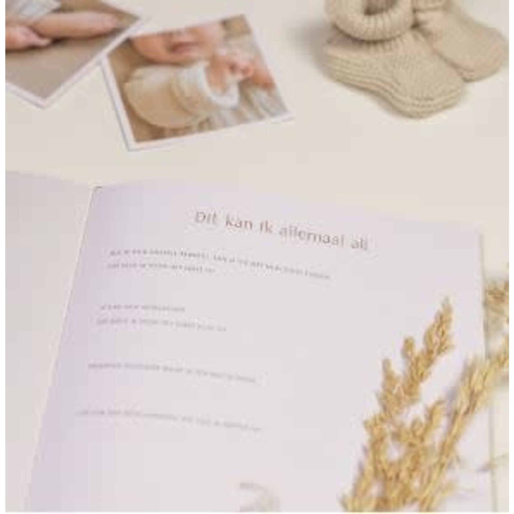 Little Dutch Little Dutch - Baby boek "Mijn eerste jaar" - Baby Bunny