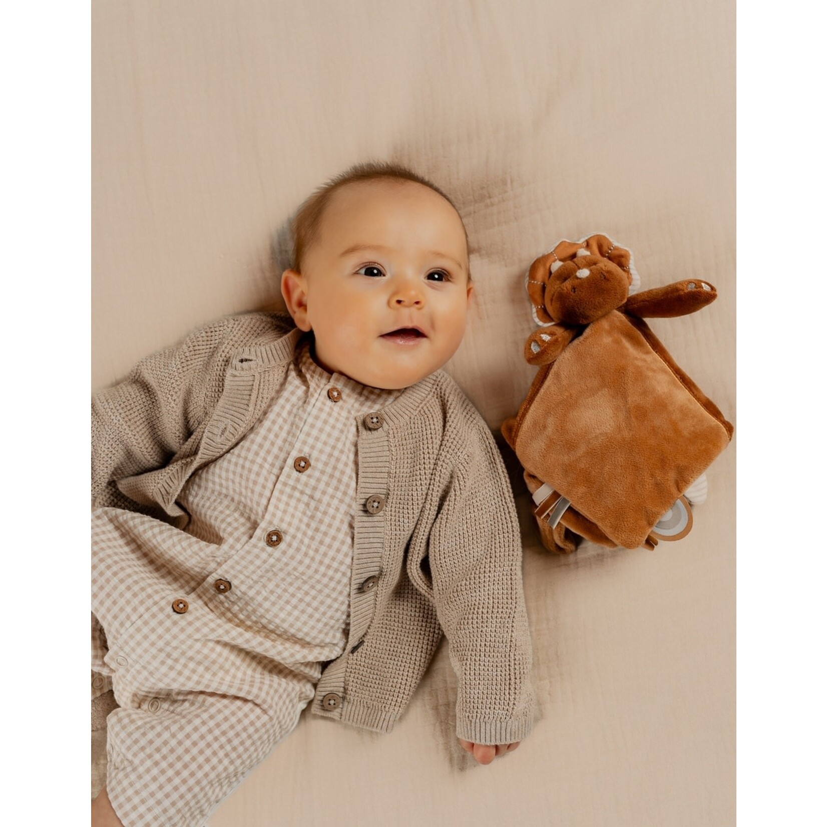 Noukie's Noukie's - Gebreid Cardigan, Beige