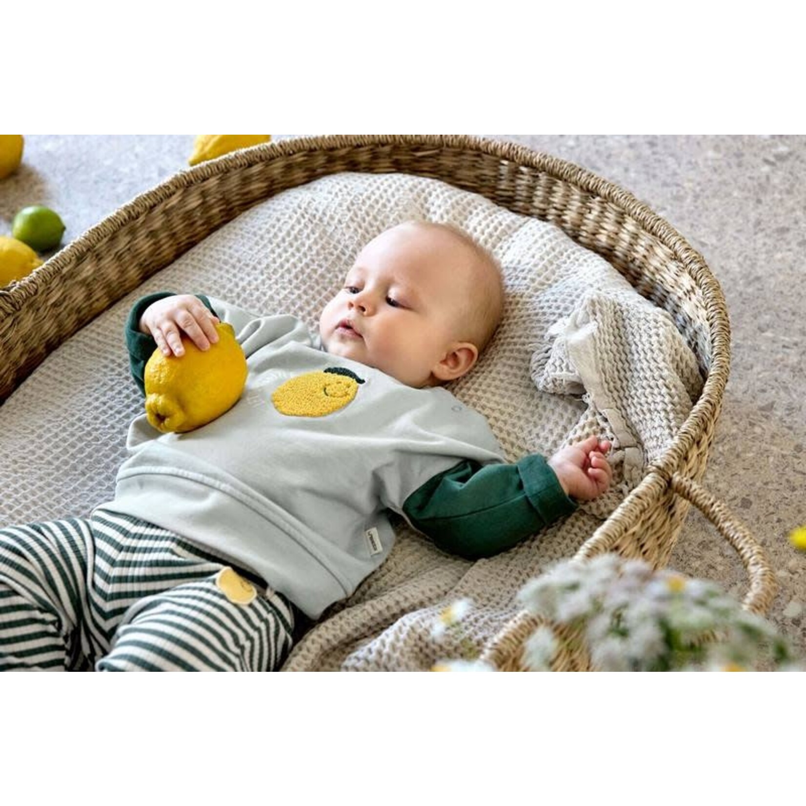 Lassig Lässig - Kids Sweater GOTS Lemon light blue