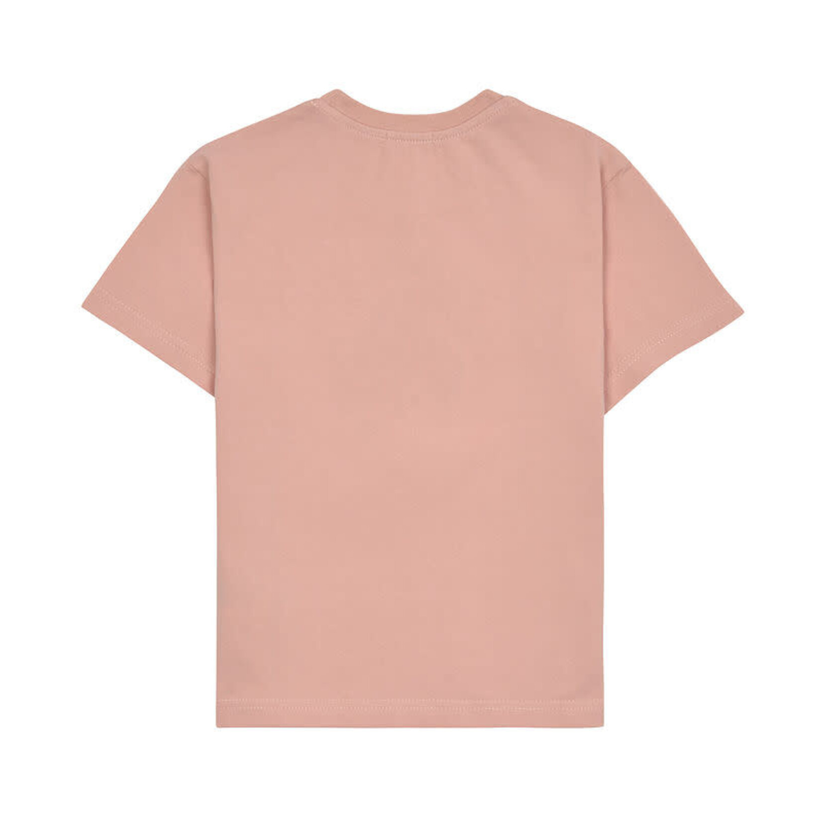 Lassig Lässig - T-Shirt Jersey GOTS Cherry peach