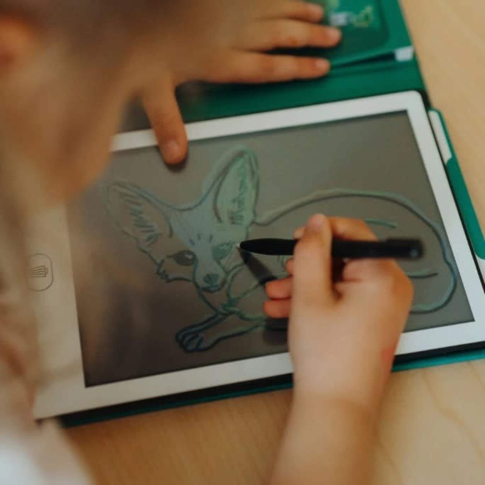 KIDYWOLF KIDYWOLF - KIDYDRAW MINI - ANIMALS AROUND THE WORLD