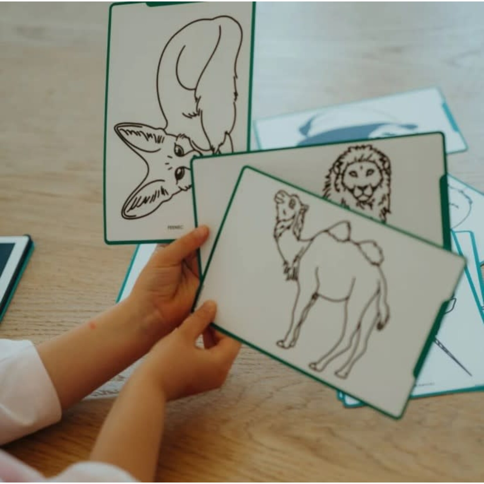KIDYWOLF KIDYWOLF - KIDYDRAW MINI - ANIMALS AROUND THE WORLD