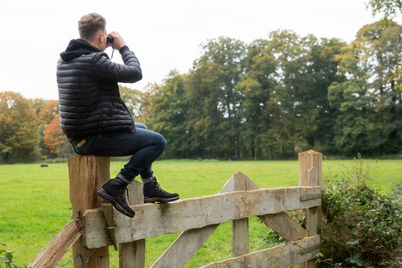 Grisport Anden Onbeveiligd Hoog Leer Bruin Wandelschoen